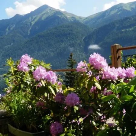 Haus Machreich Appartamento Bad Gastein